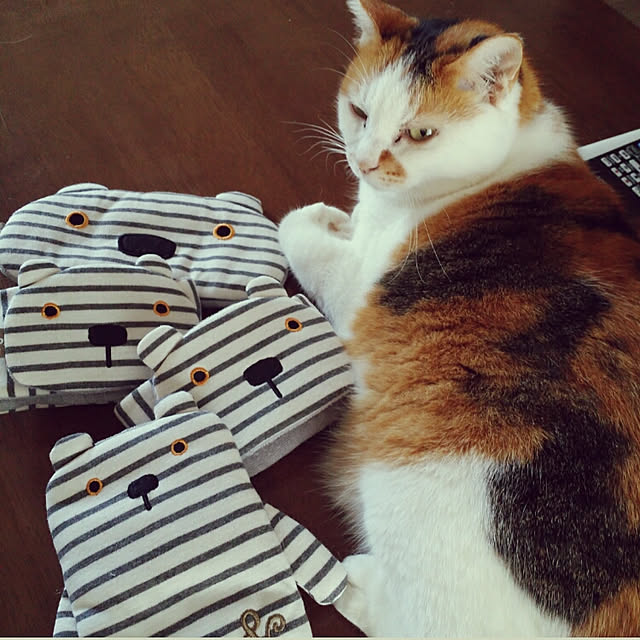 lecielさんの実例写真