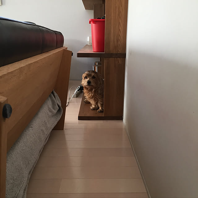 Fuyueさんの実例写真