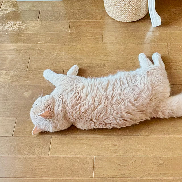 naokoさんの部屋