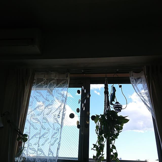 horohorotoriさんの実例写真