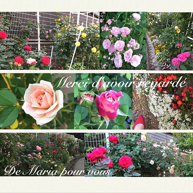 maria.rさんの実例写真