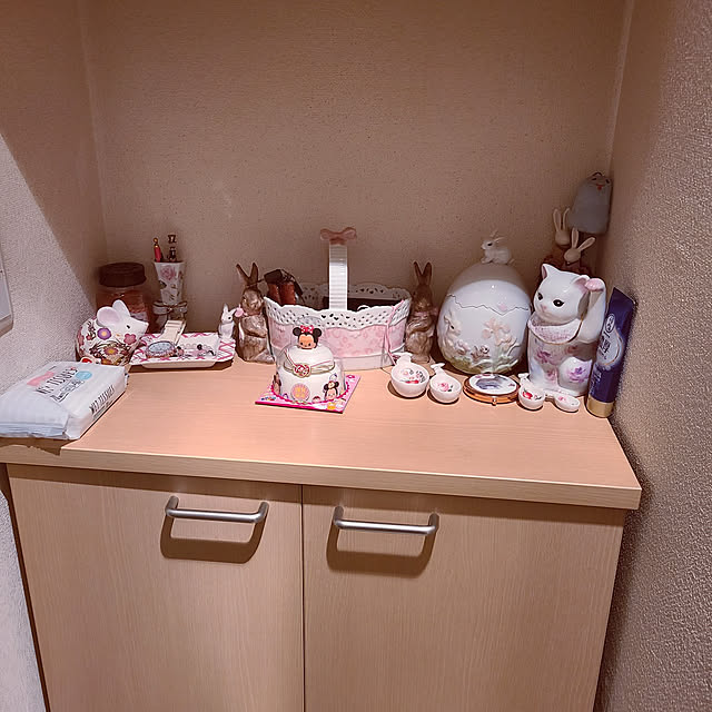 rviさんの実例写真