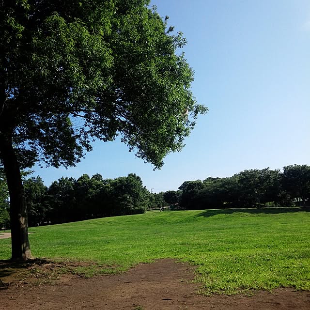 yuki.yukiさんの実例写真