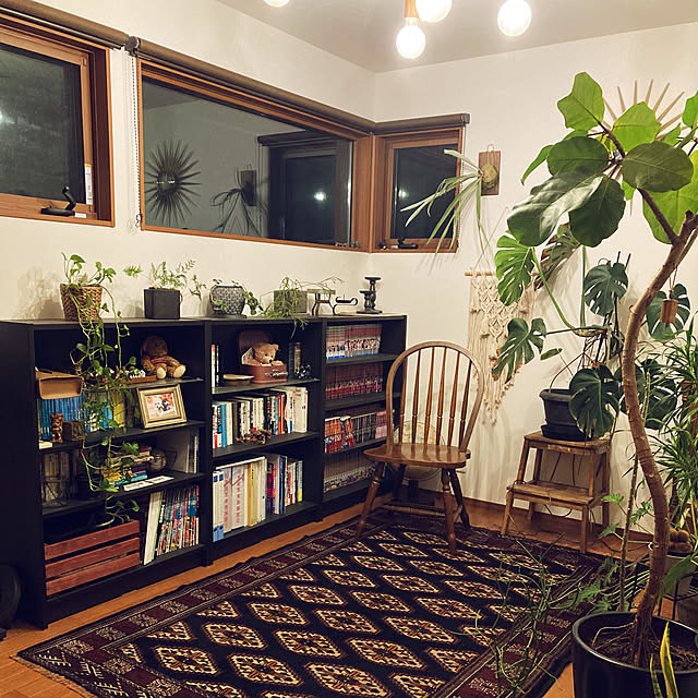 部屋全体/トルクメン絨毯/観葉植物/トライバルラグのインテリア実例 - 2025-03-19 10:45:28
