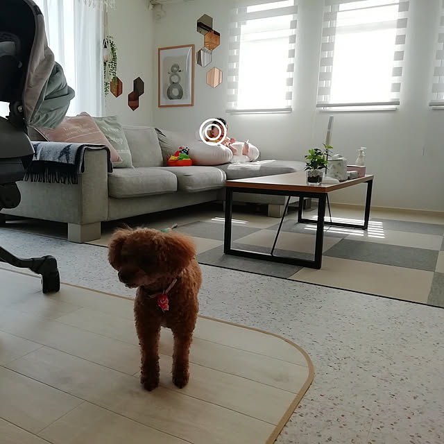 Tarutoさんの実例写真