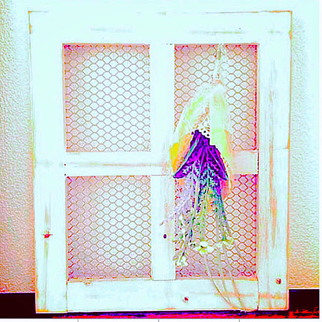 cocoさんの実例写真