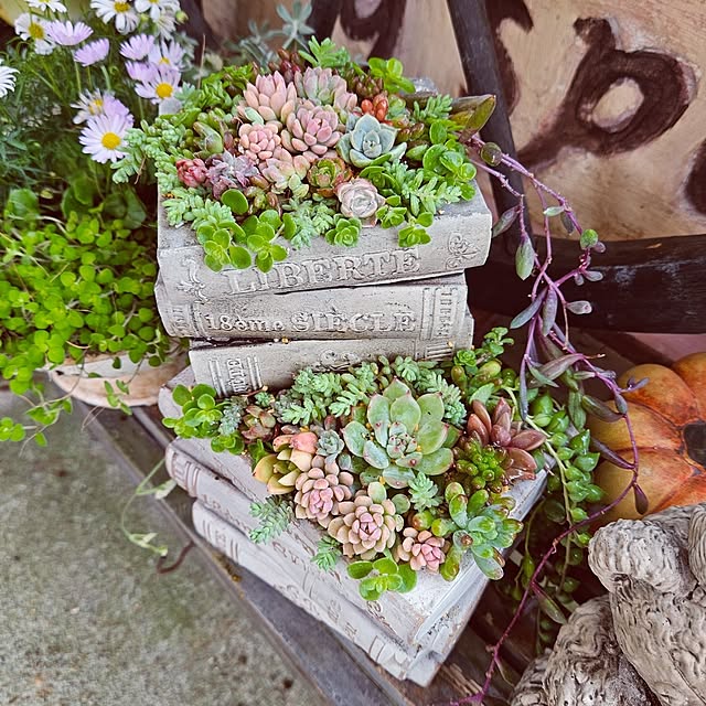 mocomocoさんの部屋