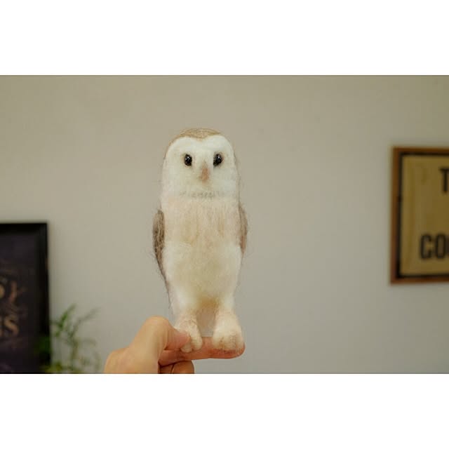 taka55さんの実例写真