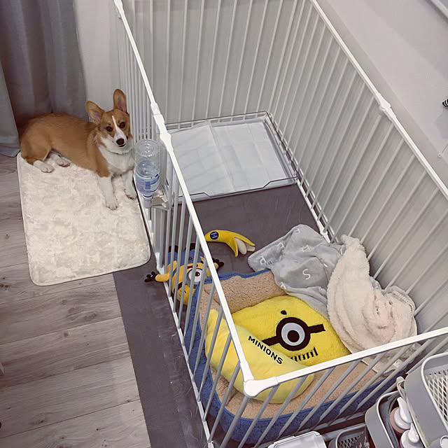 3ayuさんの実例写真