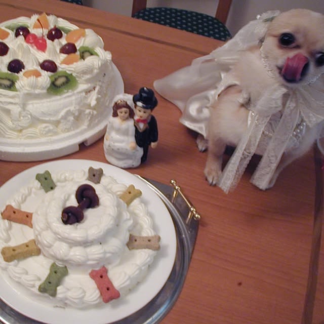 Sangoさんの実例写真