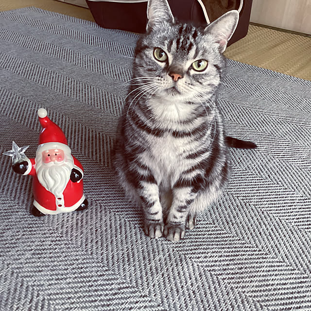 richanさんの実例写真