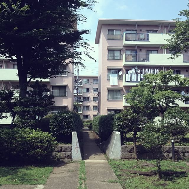 実例写真