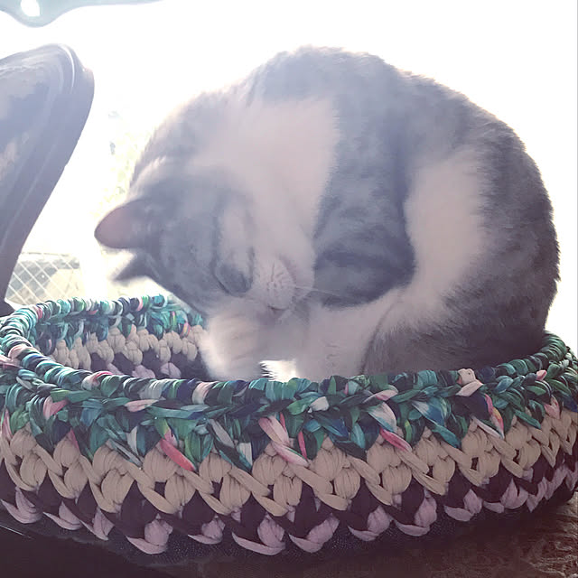 emmyyさんの実例写真