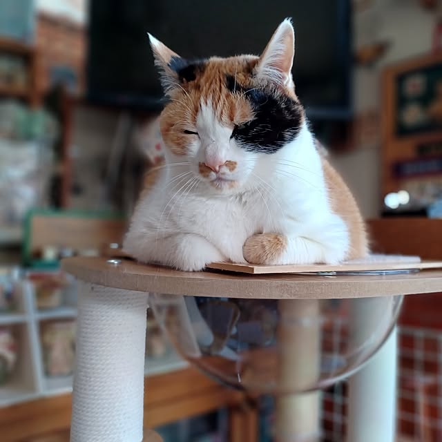 nanaさんの部屋