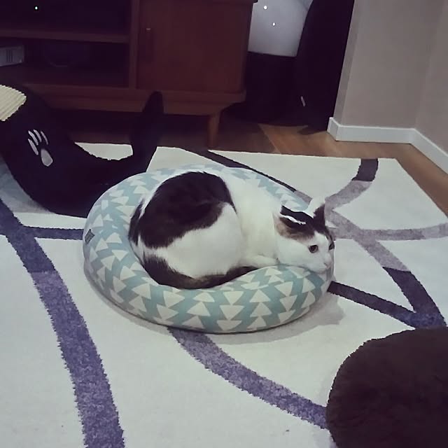 sunnyさんの実例写真