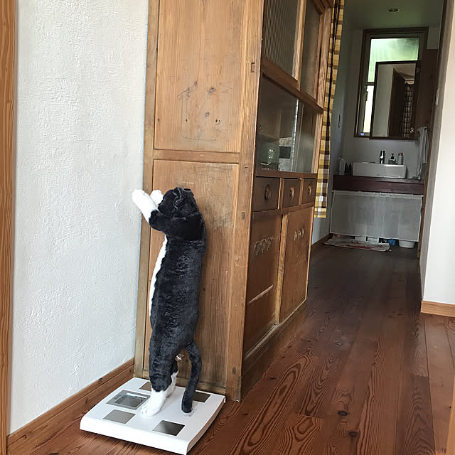 hachi1023さんの実例写真