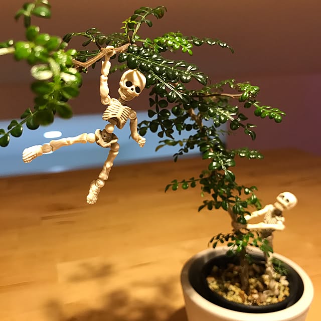 3851houseさんの実例写真