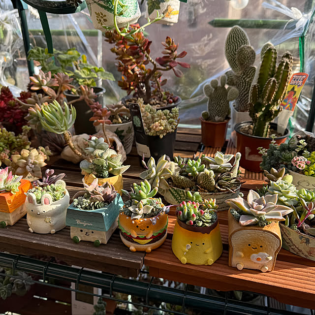 Aqettyさんの部屋