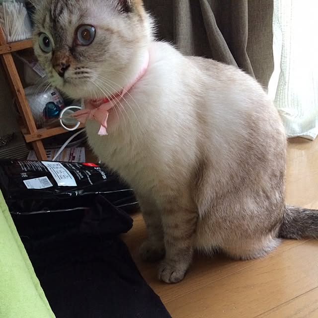 nachuさんの実例写真