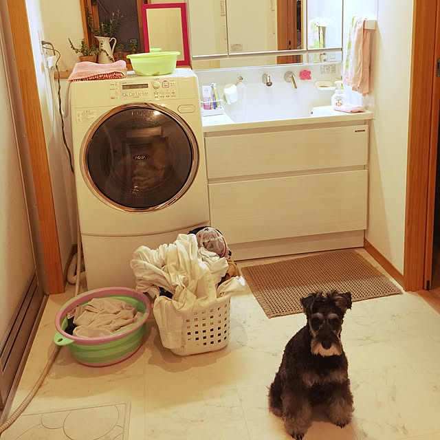Arutanさんの実例写真