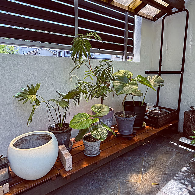 maimai0110さんの部屋