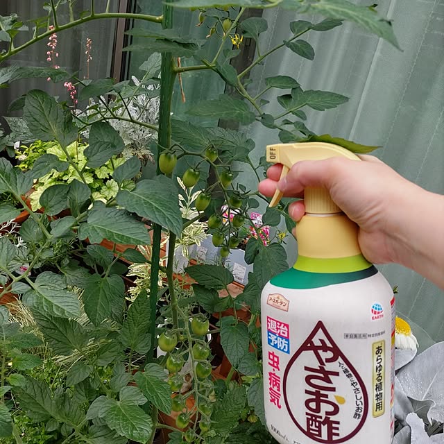 yuuさんの実例写真