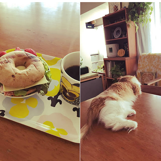 uchidaizuさんの実例写真