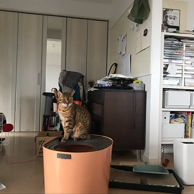 shigachanさんの実例写真