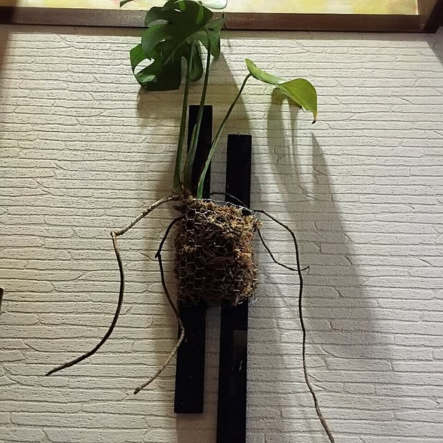 moririnさんの実例写真