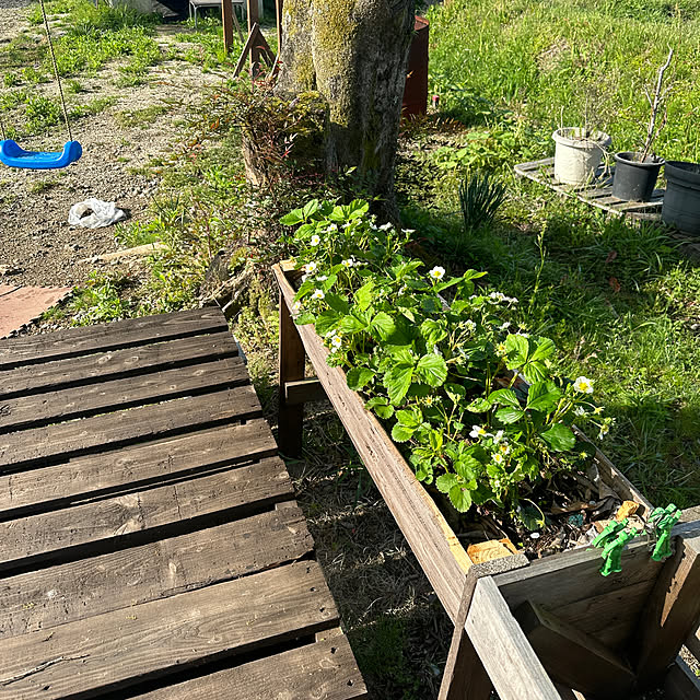 shiratamaさんの部屋
