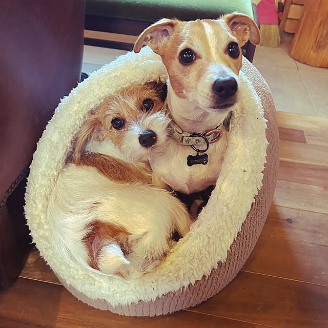 PU930さんの実例写真