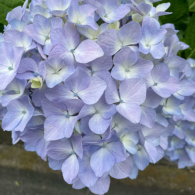 Andaluciaさんの実例写真