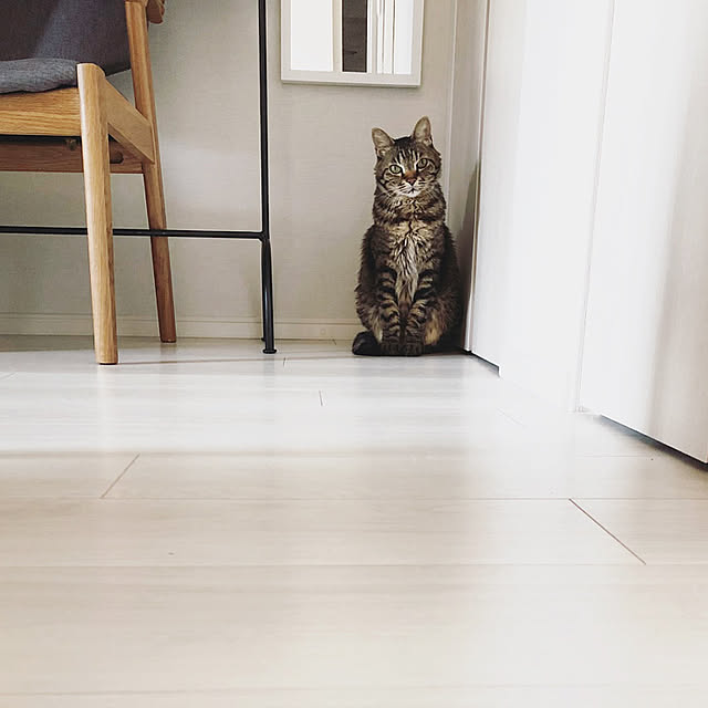 RT_hさんの実例写真