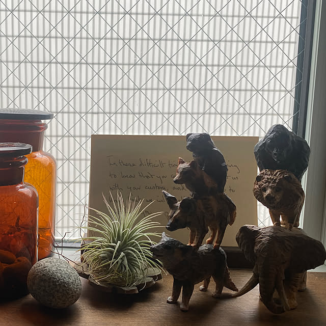 r_i_c_aさんの実例写真