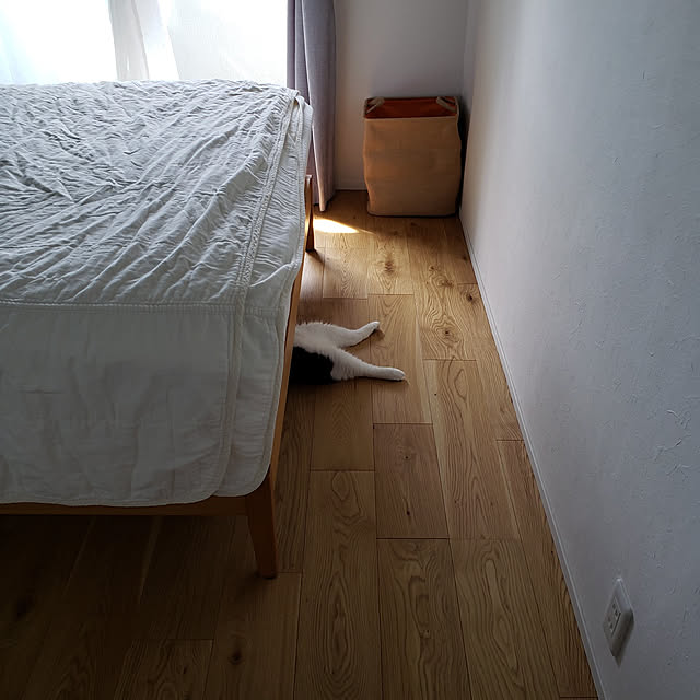 nyagosanさんの実例写真