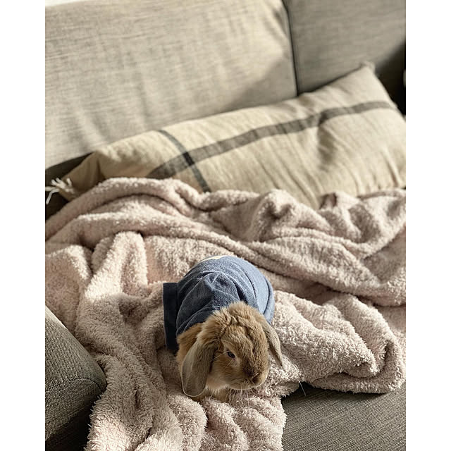 chiiiii0808さんの実例写真