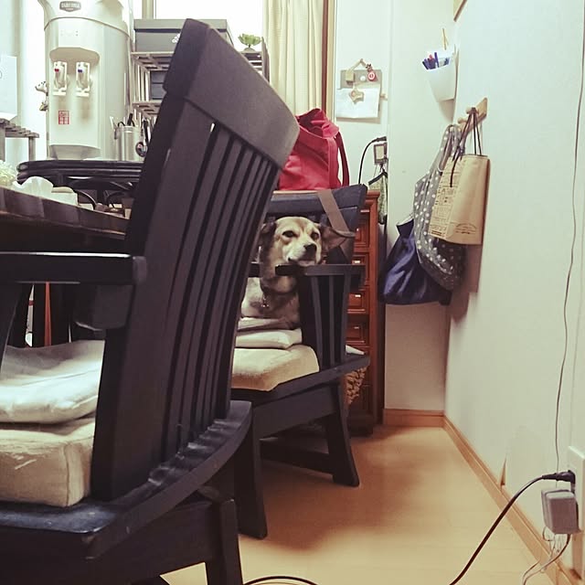 andさんの実例写真