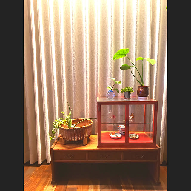retrospectivejapanさんの実例写真