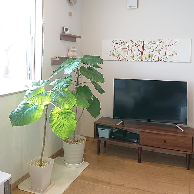 maruchiさんの実例写真