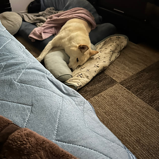 tanboさんの部屋