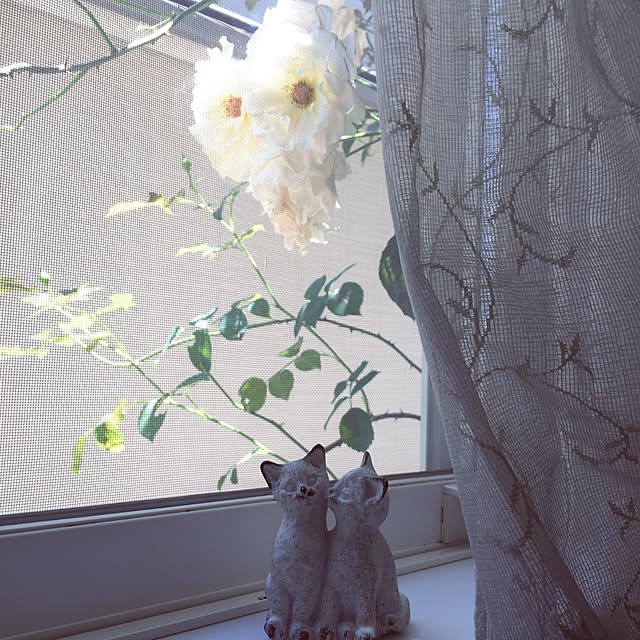 ivoryさんの実例写真