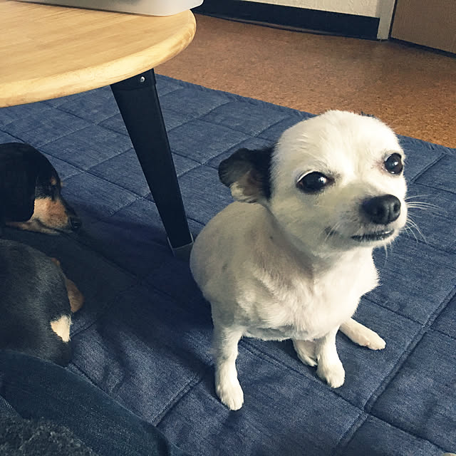 ohanaさんの実例写真