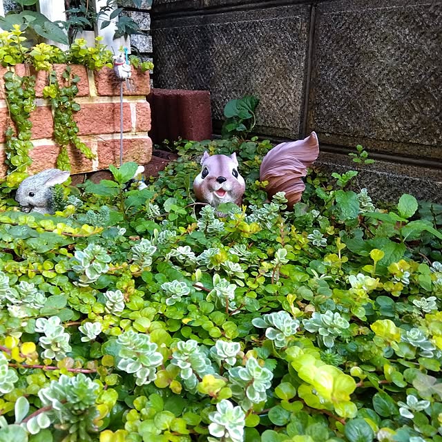 25Moondropsさんの実例写真