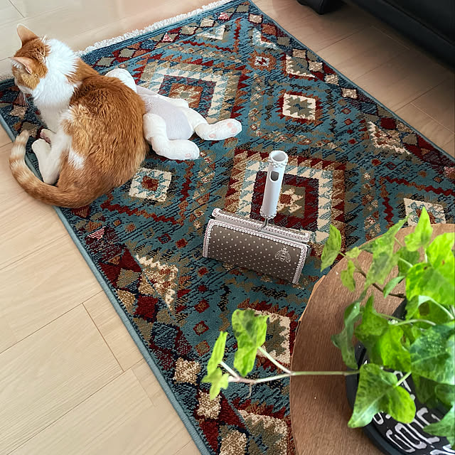miruさんの実例写真