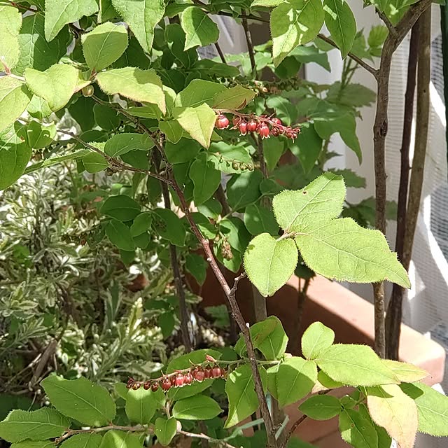 Bienvenueさんの部屋