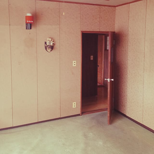 Mikaさんの実例写真