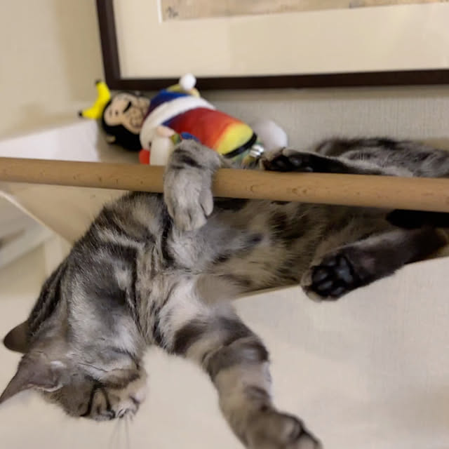 Yuki_with_a_tailさんの部屋