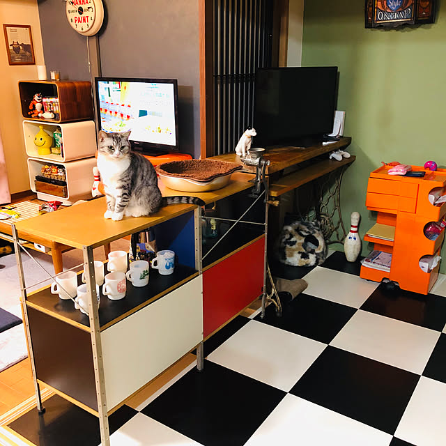 Shojiさんの実例写真