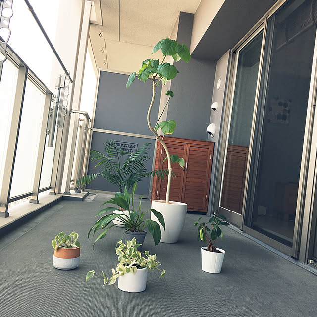ベランダ/バルコニー/マンション/観葉植物/玄関/入り口のインテリア実例 - 2020-05-02 09:13:49