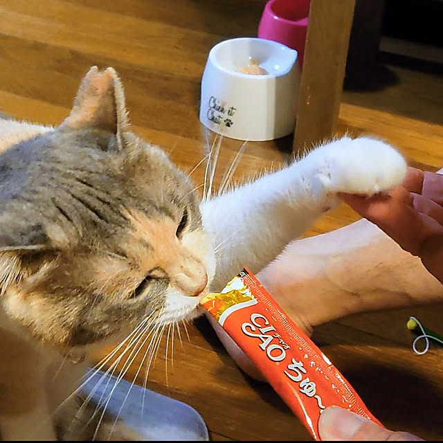fukuさんの実例写真